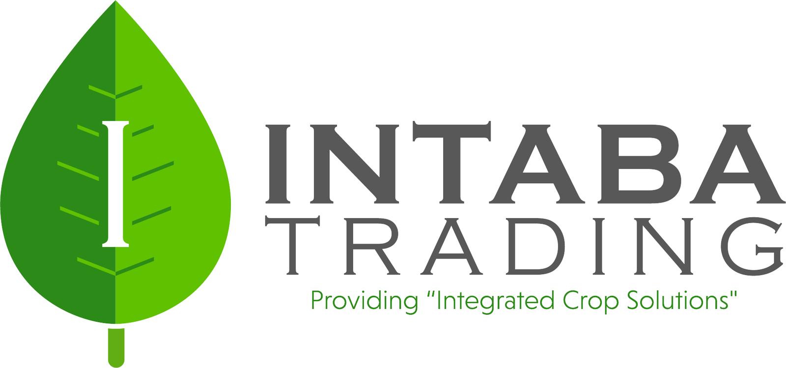Intaba Trading primary logo